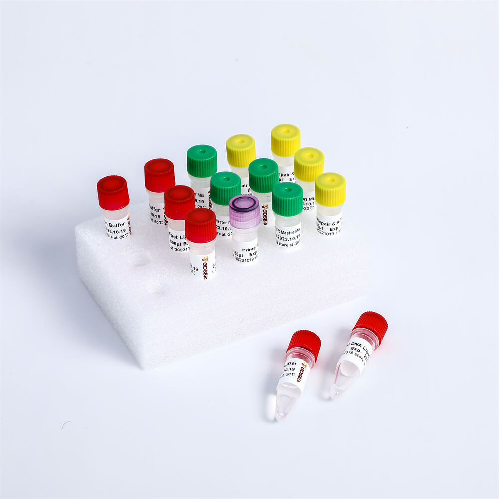 Fast DNA Library Prep Kit快速DNA建庫試劑盒 K001-A K001-B