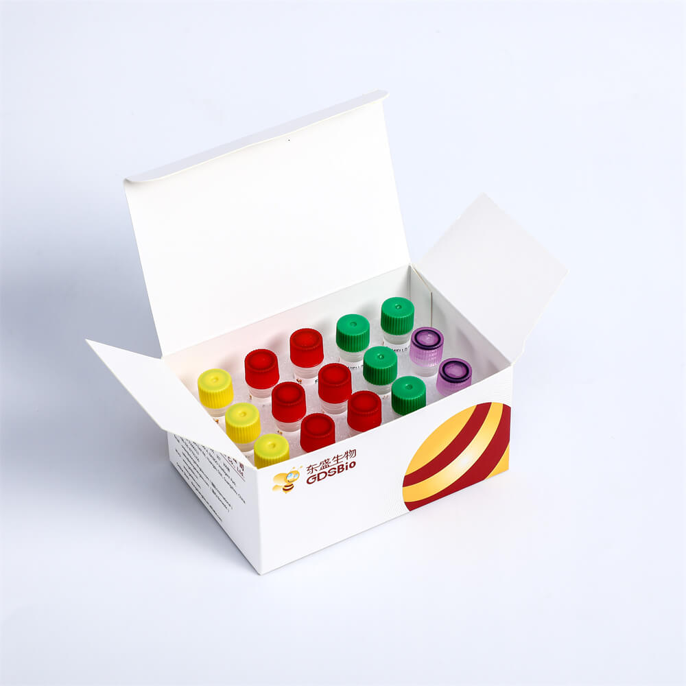 Fast DNA Library Plus Prep Kit高效快速DNA建庫試劑盒 K004-A K004-B