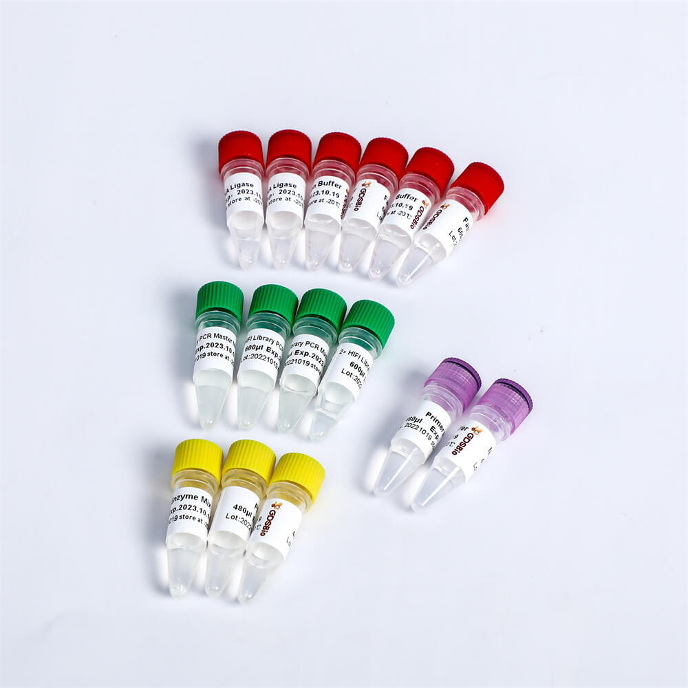 Fast DNA Library Plus Prep Kit高效快速DNA建庫試劑盒 K004-A K004-B