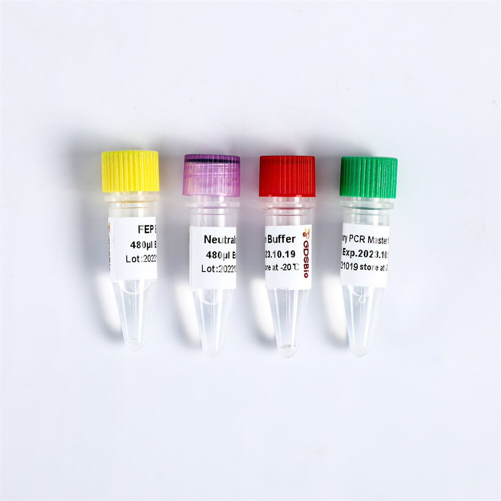 Fast DNA Library Plus Prep Kit高效快速DNA建庫試劑盒 K004-A K004-B