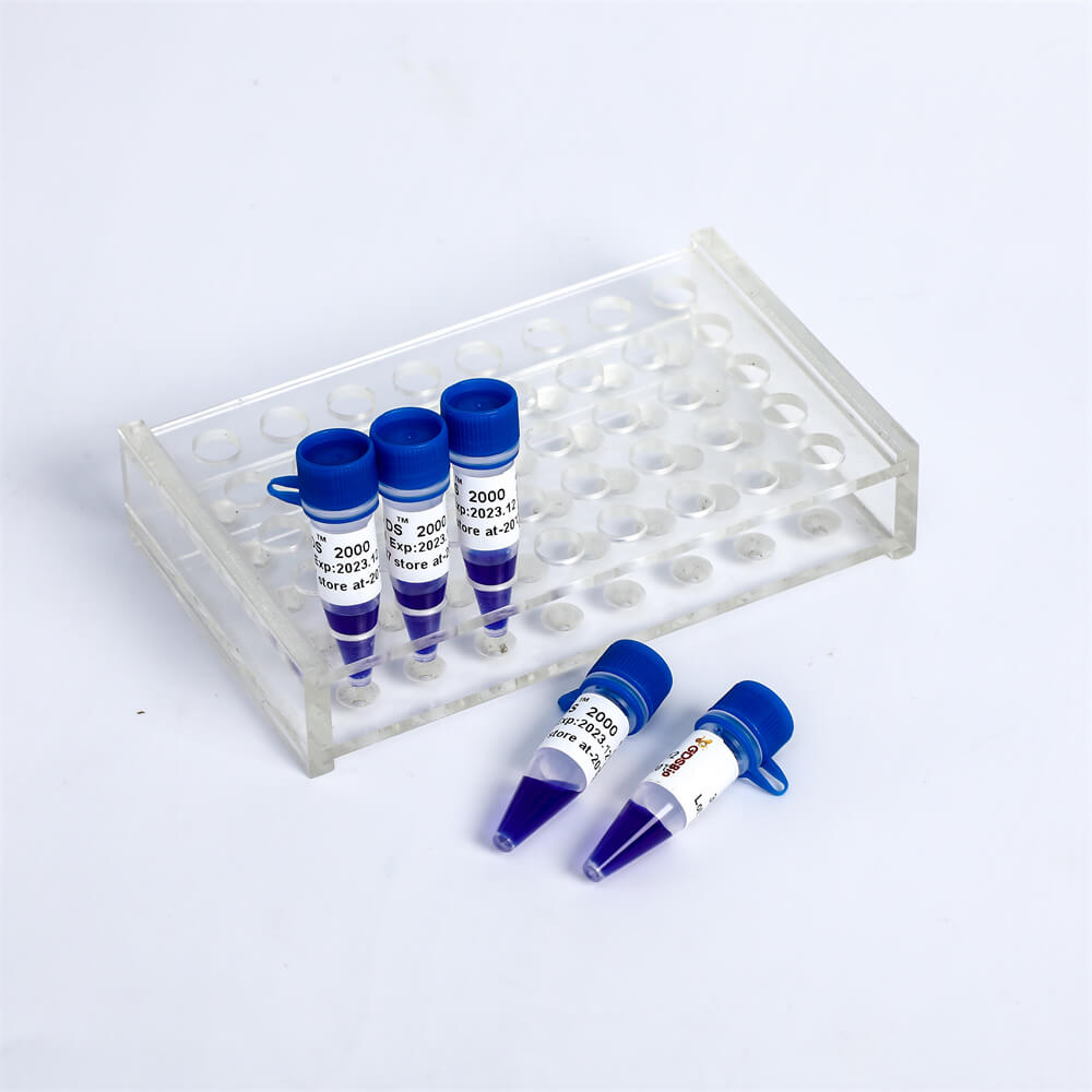 LD DS2000 DNA Marker LM1101/LM1102