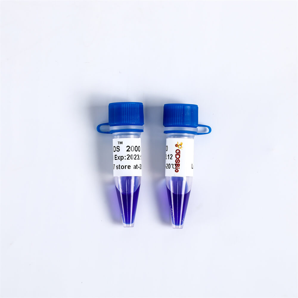 LD DS10000 DNA Marker LM1221/LM1222