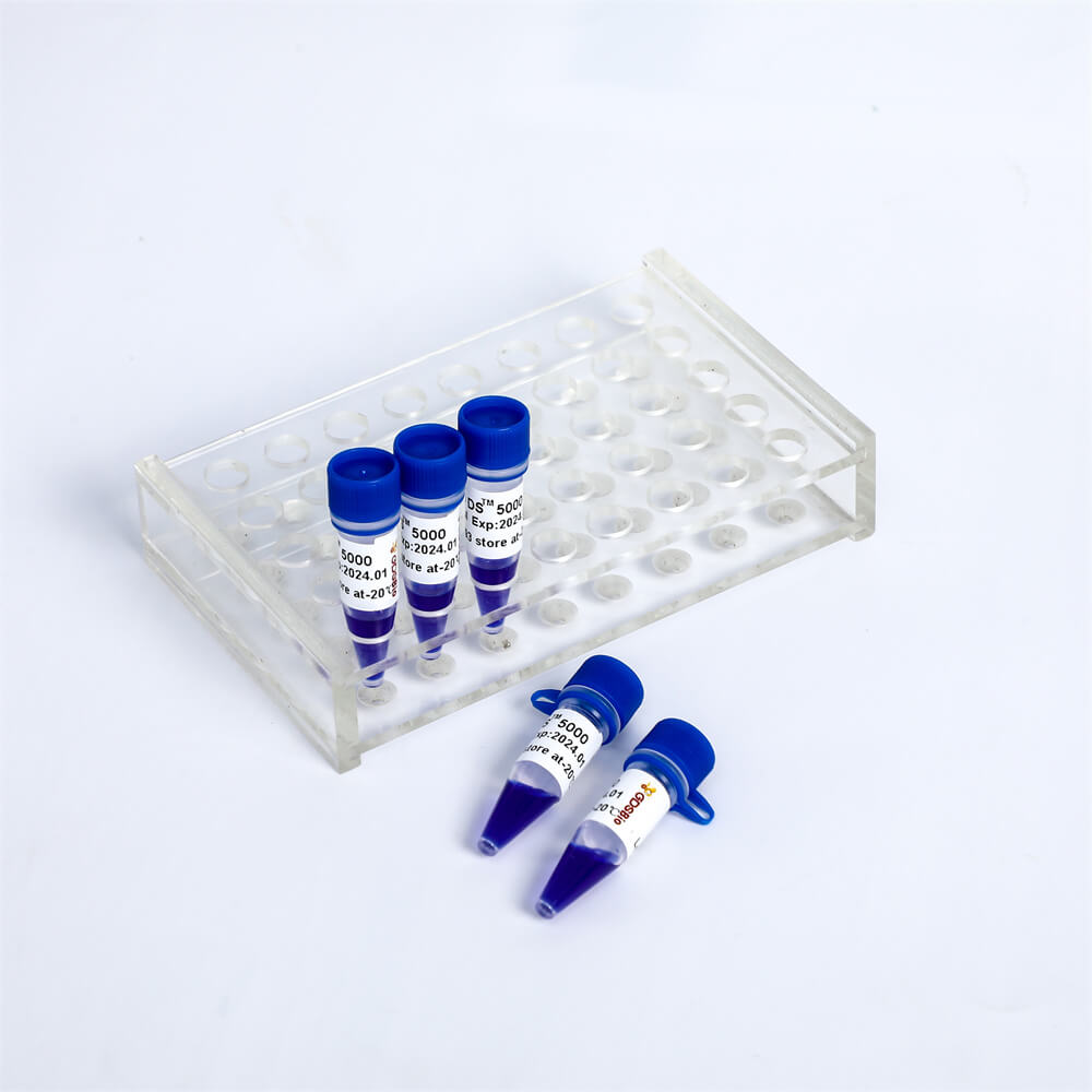 LD DS5000 DNA Marker LM1111/LM1112