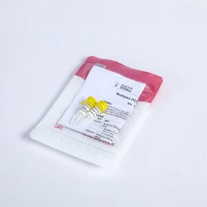 2X Multiplex PCR Master Mix with UDG PM2001，PM2002，PM2003
