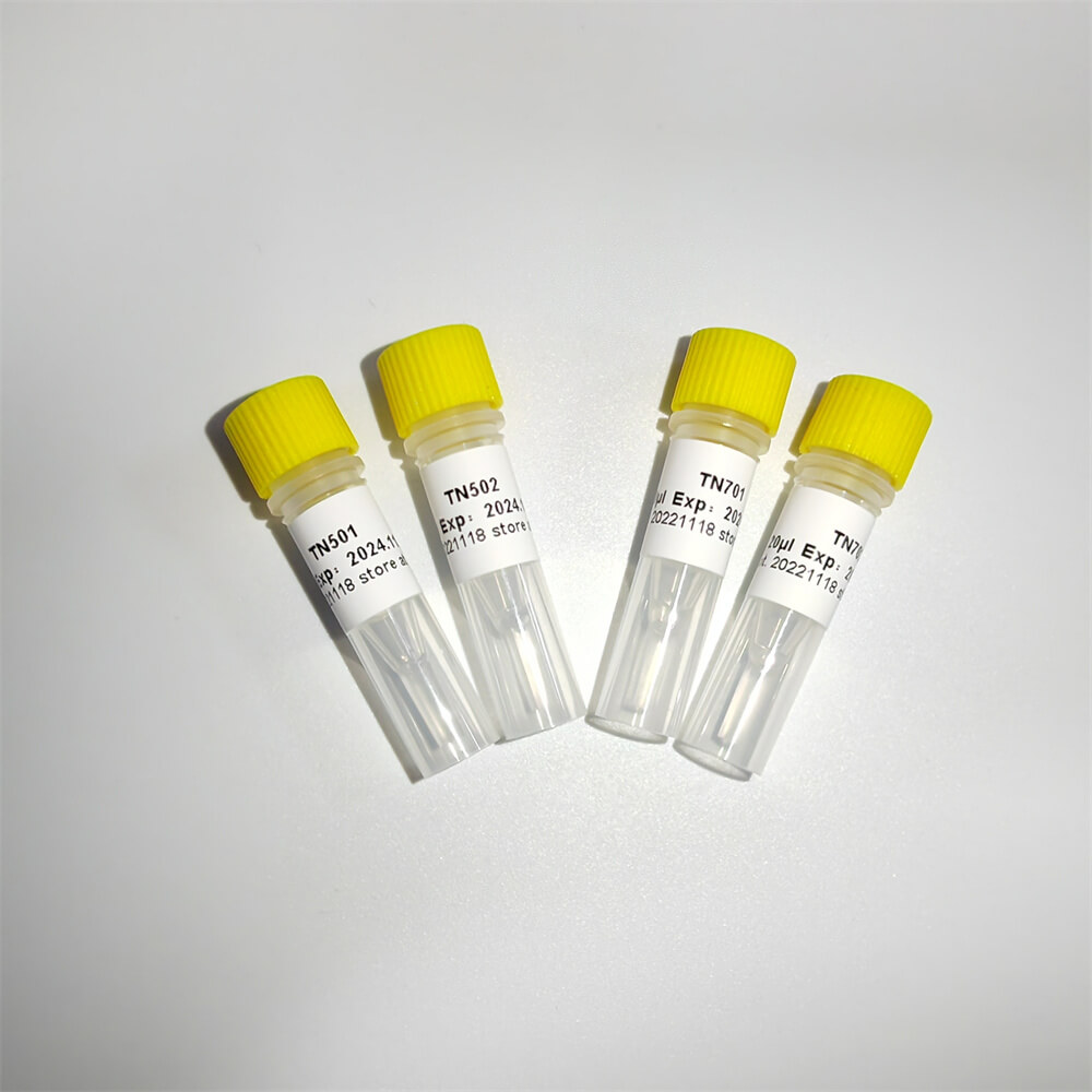 NGS轉座酶建庫擴增引物TN Primer Index List-A K211-A