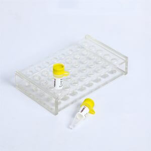 GDSlyo Hotstart Taq Polymerase