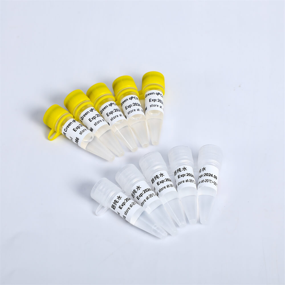 SYBR Green qPCR Mix(with Rox)