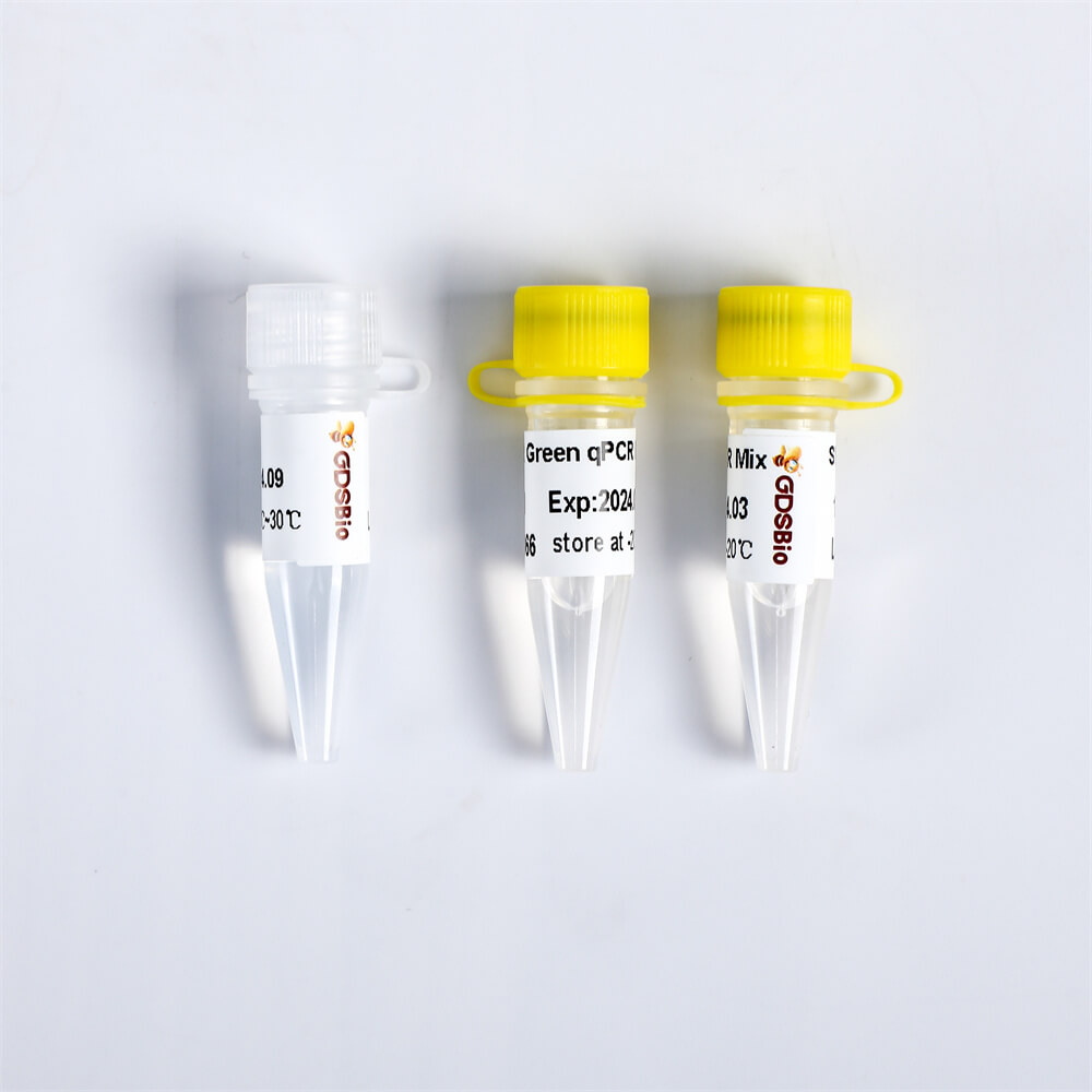 SYBR Green qPCR Mix(with Rox)