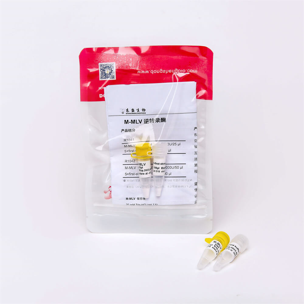 M-MLV(重組型逆轉錄酶)(R1041-R1042)