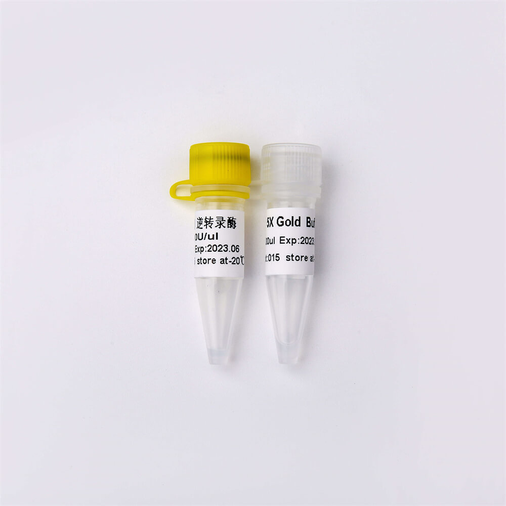 Gold逆轉錄酶