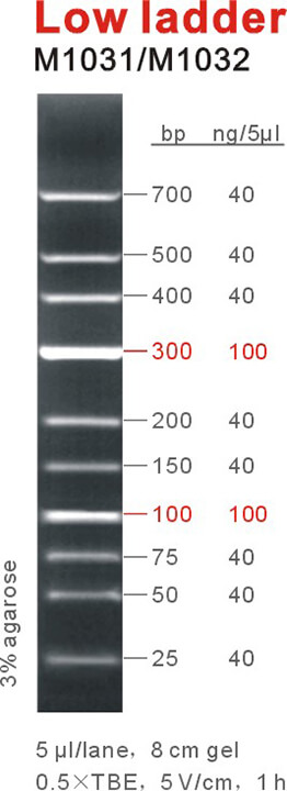 6449e32c9a886 6449e32c9a886