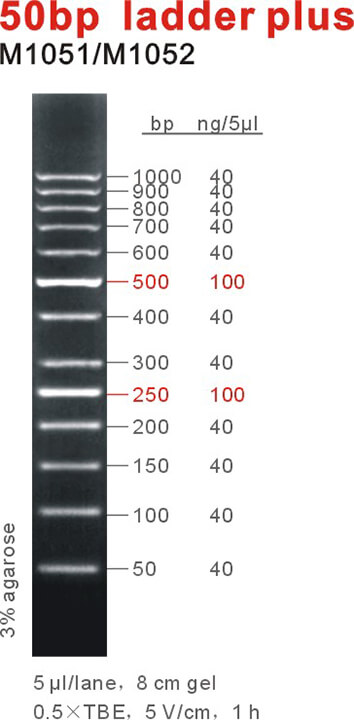 6449e45fc9153 6449e45fc9153