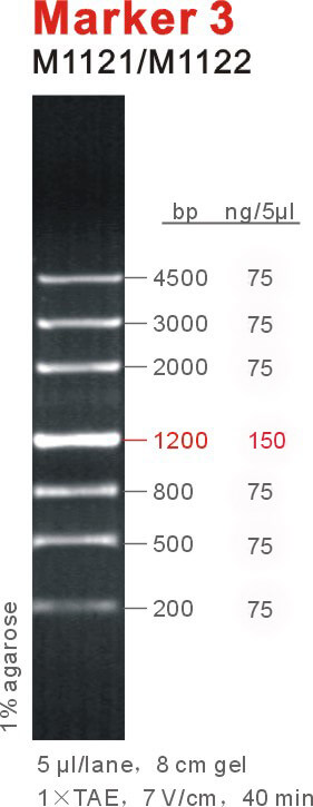 6449ee10edc05 6449ee10edc05