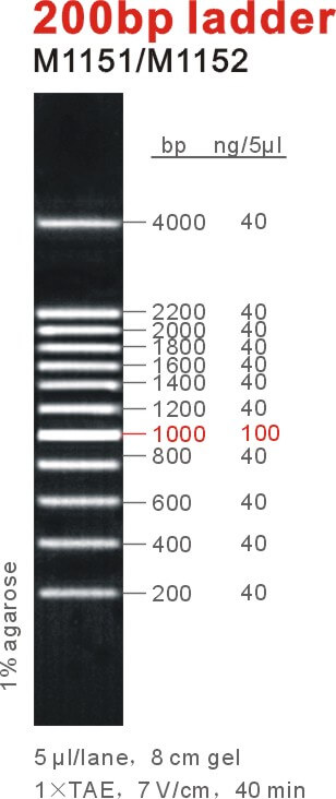 6449eec0082f0 6449eec0082f0