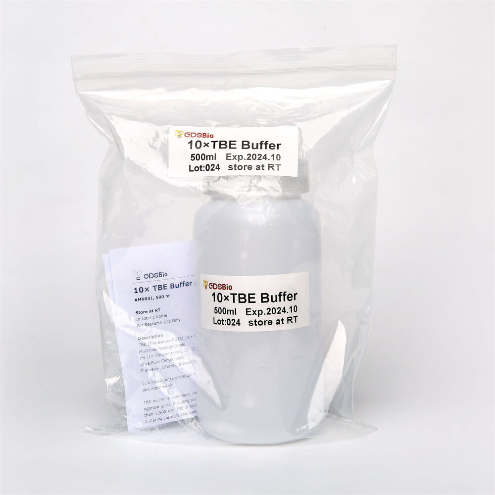 10×TBE緩沖液(M9031)