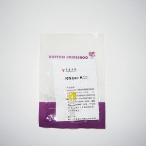 RNase A凍干粉末 N9047