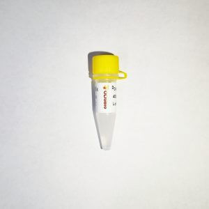 DSPath NGS Multiplex PCR Master Mix #K030