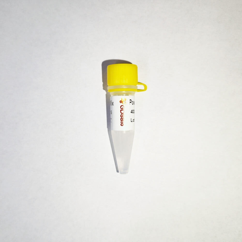 DSPath NGS Multiplex PCR Master Mix #K030