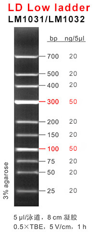 66aaf1788bf05 66aaf1788bf05