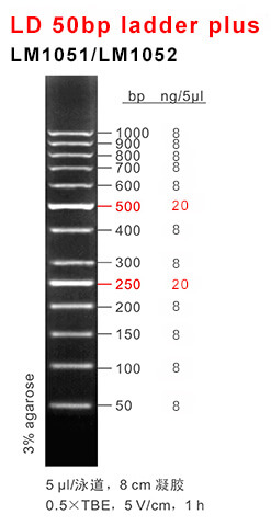 66aaf178de67e 66aaf178de67e