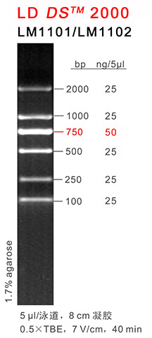 66aaf17ae86a4 66aaf17ae86a4