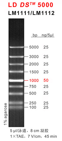 66aaf17b3d814 66aaf17b3d814