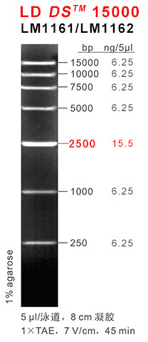 66aaf17c52f6e 66aaf17c52f6e