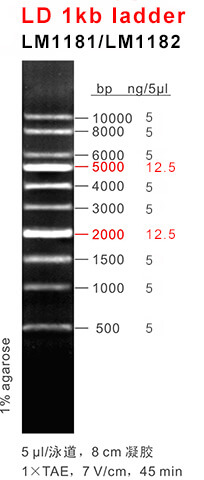 66aaf17cbe6f2 66aaf17cbe6f2