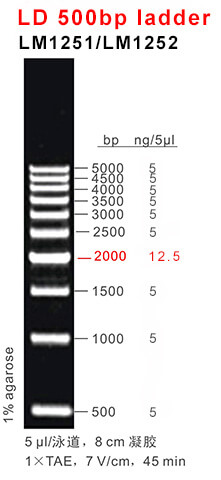66aaf17e66697 66aaf17e66697
