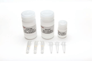 植物DNA提取試劑盒（離心柱型）N1221 N1222