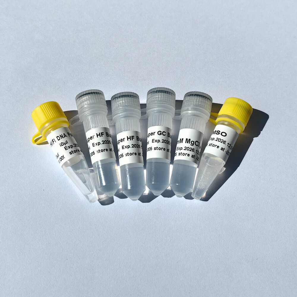 Super HIFI DNA Polymerase