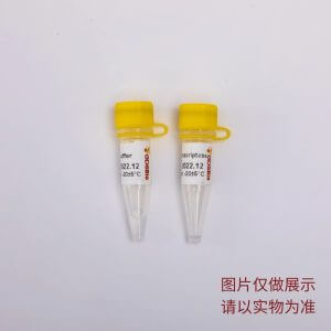 Power逆轉錄酶 R3011 R3012