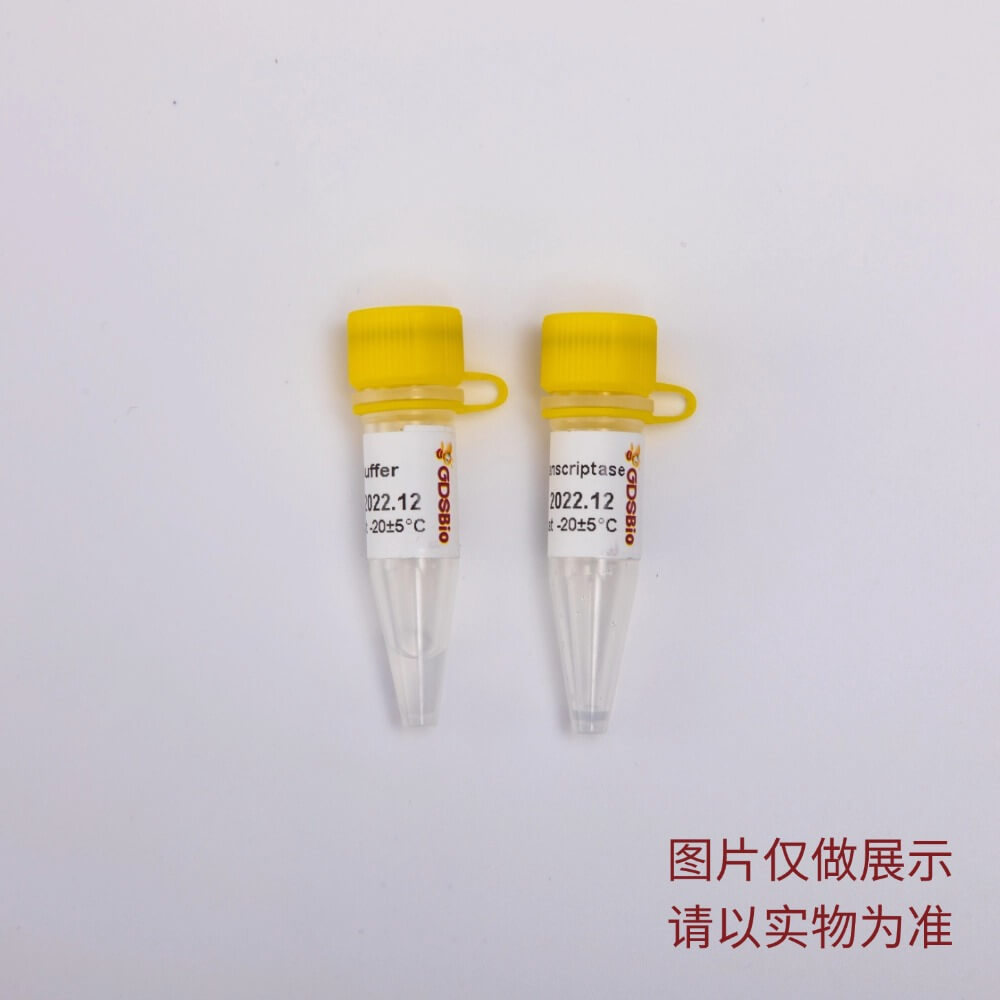 Power逆轉錄酶 R3011 R3012