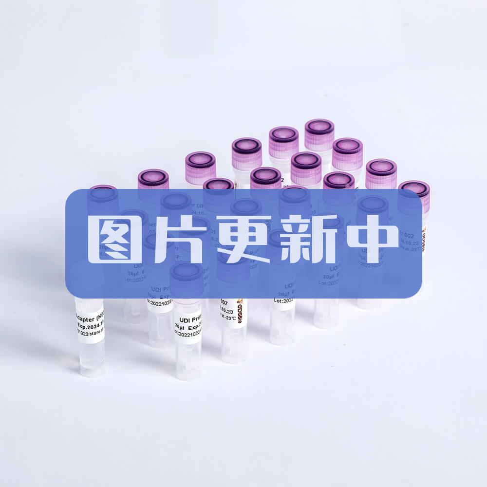 核酸去除劑 P9121 P9122