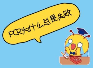 PCR為什么總是失??？——5個(gè)常見(jiàn)原因與解決辦法