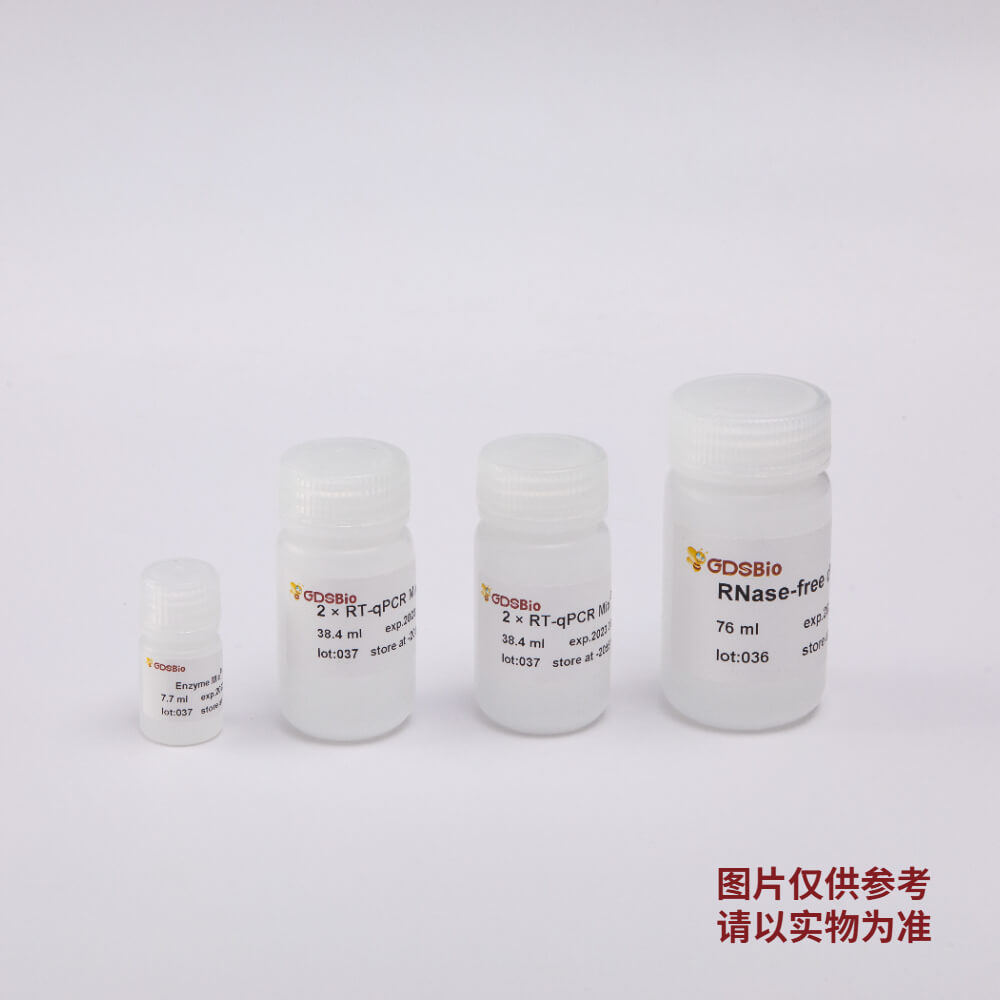 Direct One-step Probe RT-qPCR Kit