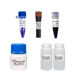 DNA電泳產(chǎn)品套裝II